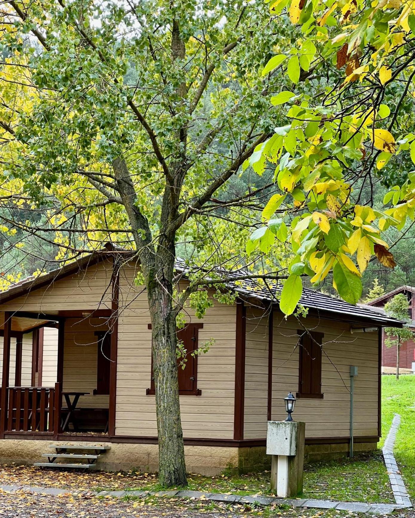 Camping Valle De Hecho Dış mekan fotoğraf