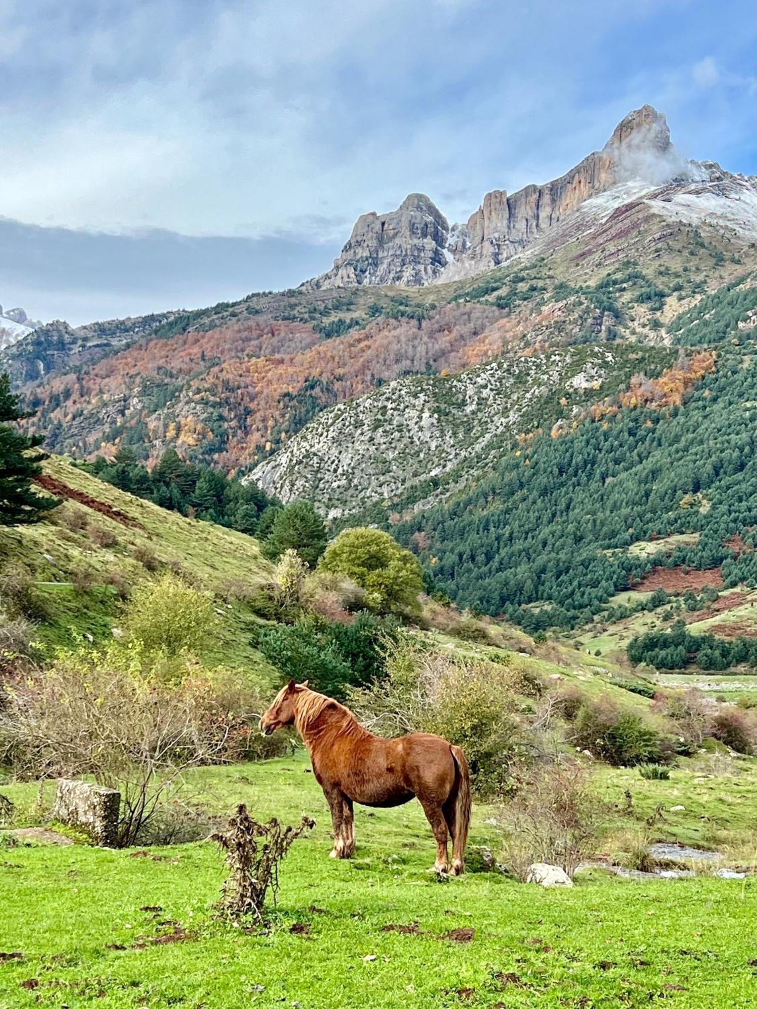 Camping Valle De Hecho Dış mekan fotoğraf